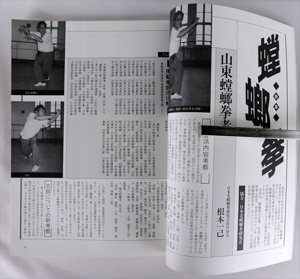 武術雑誌「武術」1992年秋号、139ページ、蟷螂拳関する特集記事